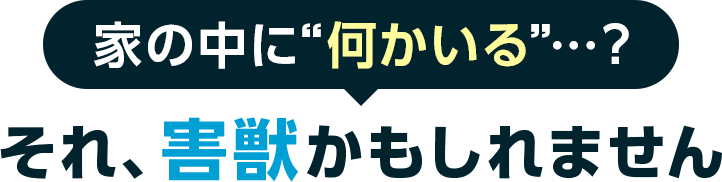 家の中に何かいる…？